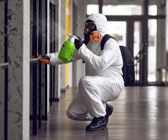 Best Biohazard Mold Removal in Glenville, WV